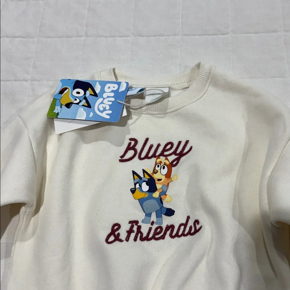 Zara Bluey Sweatshirt
